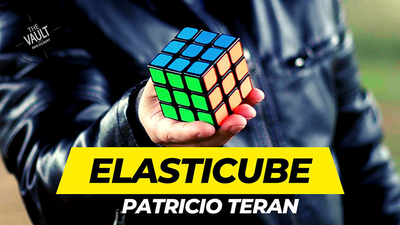 The Vault-Elasticube | Patricio Teran - Video Download patricio antonio teran mora at Deinparadies.ch