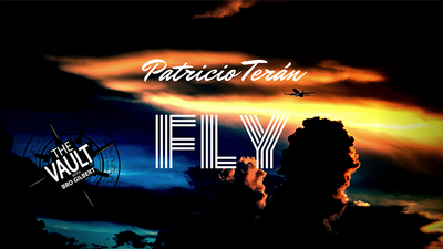 The Vault - Fly by Patricio Teran - Video Download patricio antonio teran mora at Deinparadies.ch