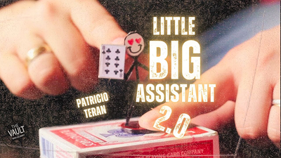The Vault - Little Big Assistant 2 | Patricio Teran - Video Download patricio antonio teran mora at Deinparadies.ch