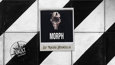 The Vault - MORPH by Nacho Mancilla - Mixed Media Download Marcelo Ignacio Mancilla bei Deinparadies.ch