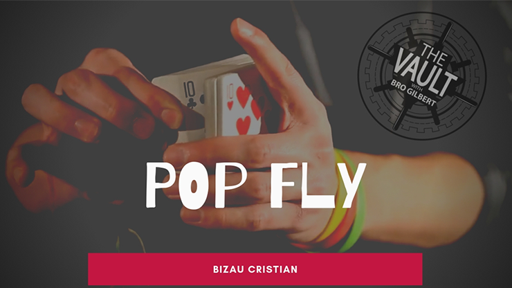 The Vault - Pop Fly by Bizau Cristian - Video Download Vanishing Inc. bei Deinparadies.ch