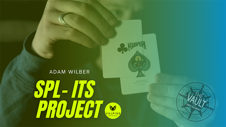 The Vault - SPL-ITS Project by Adam Wilber - Video Download Adam Wilber bei Deinparadies.ch