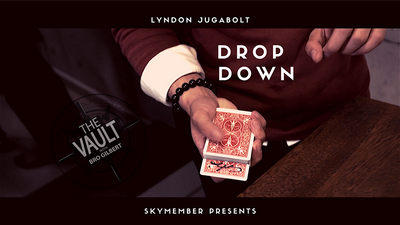 The Vault - Skymember Presents Drop Down di Lyndon Jugalbot - Download di supporti misti Deinparadies.ch a Deinparadies.ch