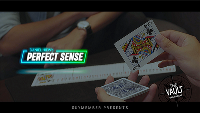 The Vault - Skymember Presents Perfect Sense by Daniel Hiew - Video Download Deinparadies.ch bei Deinparadies.ch