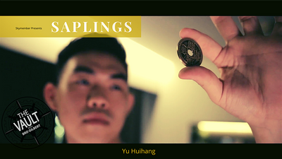 The Vault - Skymember Presents Saplings by Yu Huihang - Video Download Deinparadies.ch bei Deinparadies.ch