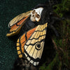 Totenkopf Schmetterlinge-Chaks-Deinparadies.ch