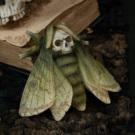 Totenkopf Schmetterlinge-Chaks-Deinparadies.ch