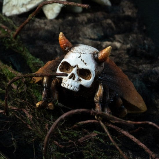 Totenkopf Schmetterlinge-Chaks-Deinparadies.ch