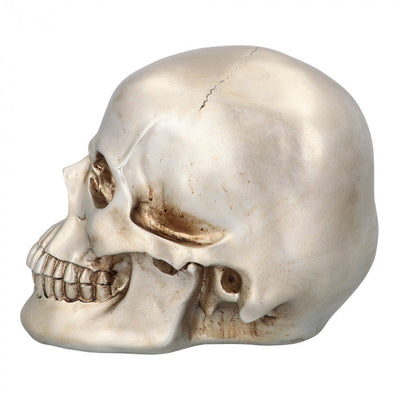Crâne argenté en résine | 26 cm Boland à Deinparadies.ch