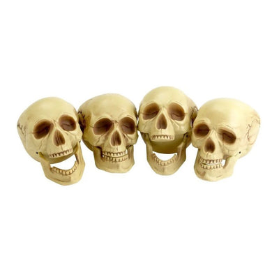 Crânes | Ensemble de 4 pièces