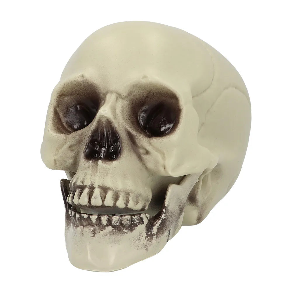 Totenschädel Whisperbone-Chaks-Deinparadies.ch