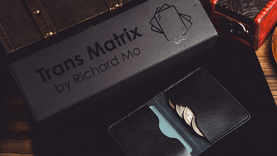 Transparent Matrix (Half Dollar) 2024 | Richard Mo-Bacon Magic-Deinparadies.ch