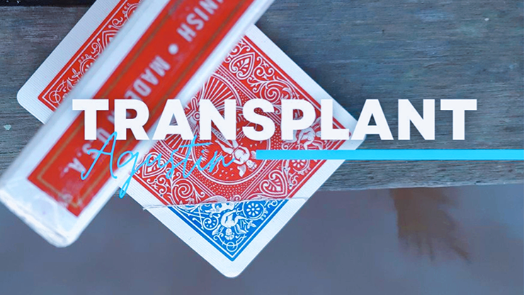 Transplant | Agustin - Video Download bubbul at Deinparadies.ch