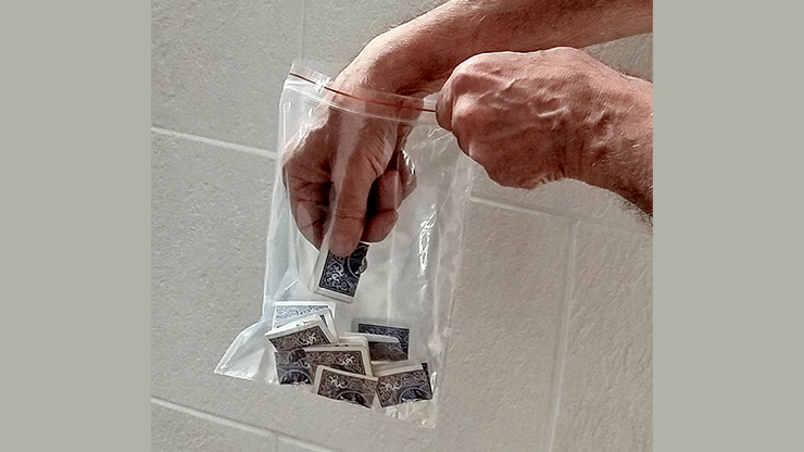 Triple Force Zip Lock Bag (Small, 6.5 x 9.5")-Luis Enrique Peralta-Deinparadies.ch