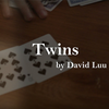 Twins by David Luu - Video Download Luu Duc Hieu bei Deinparadies.ch