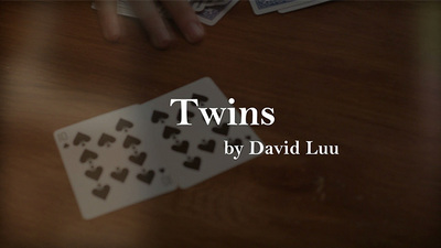 Twins by David Luu - Video Download Luu Duc Hieu bei Deinparadies.ch