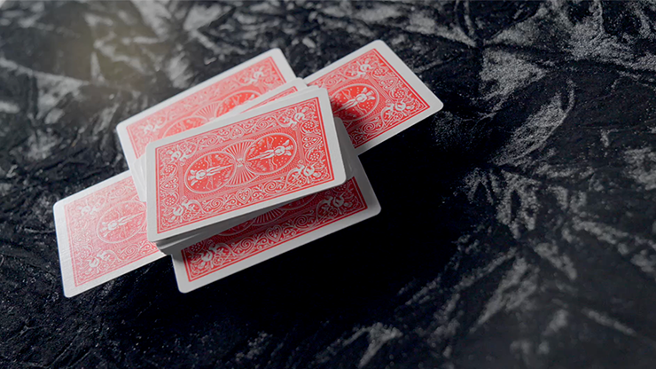 WAKEN 2.0 | Bond Lee, Hawin & MS Magic-Lee Jah Bond-Deinparadies.ch