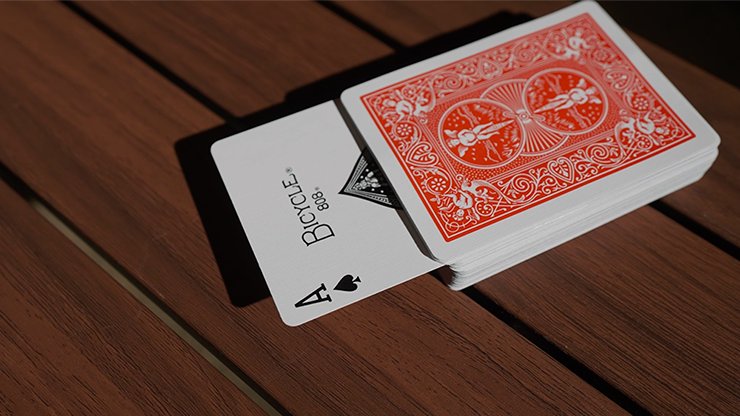 WAKEN 2.0 | Bond Lee, Hawin & MS Magic-Lee Jah Bond-Deinparadies.ch