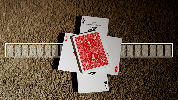 WAKEN 2.0 | Bond Lee, Hawin & MS Magic-Lee Jah Bond-Deinparadies.ch