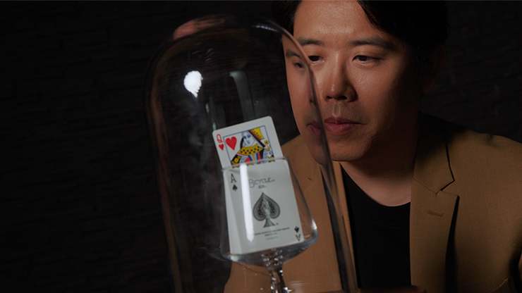 WAKEN 2.0 | Bond Lee, Hawin & MS Magic-Lee Jah Bond-Deinparadies.ch