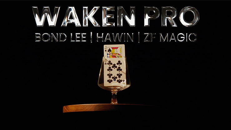 WAKEN 2.0 | Bond Lee, Hawin & MS Magic-Lee Jah Bond-Deinparadies.ch