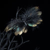 Wald Schmetterling mit Clip-Chaks-Deinparadies.ch