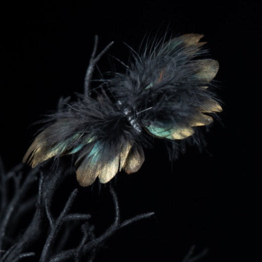 Wald Schmetterling mit Clip-Chaks-Deinparadies.ch