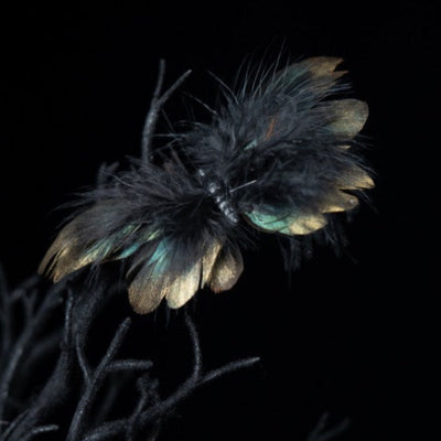 Wald Schmetterling mit Clip-Chaks-Deinparadies.ch