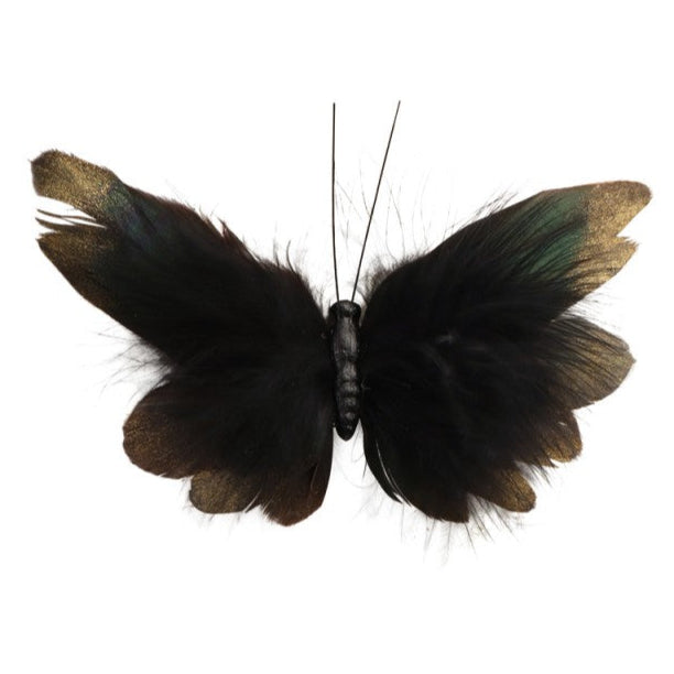 Wald Schmetterling mit Clip-Chaks-Deinparadies.ch