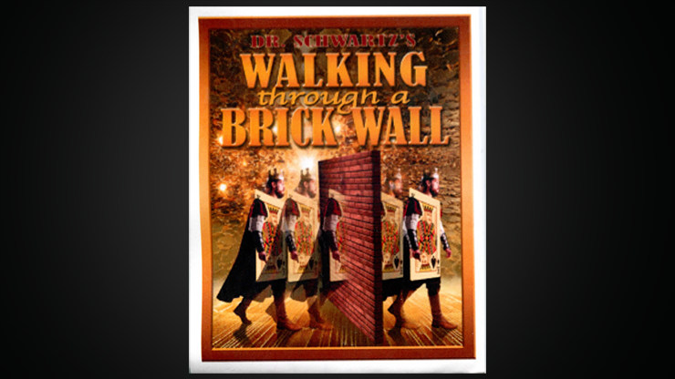 Walking Thru a Brick Wall | Martin Schwartz-Martin Schwartz-Deinparadies.ch