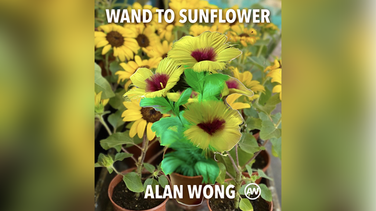 Varita a Girasol Grande | varita a flor | Alan Wong Alan Wong en Deinparadies.ch