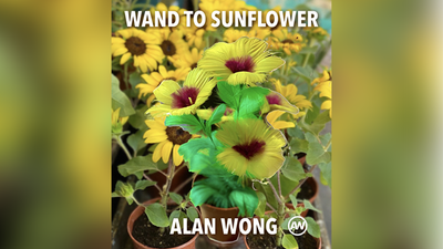 Wand to Sunflower Large | Wand to Flower | Alan Wong Alan Wong at Deinparadies.ch