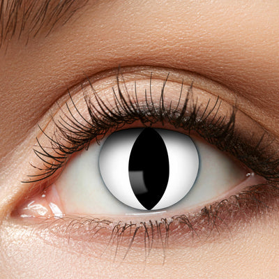 White Cat Kontaktlinsen | Wochenlinsen-Catcher-Deinparadies.ch