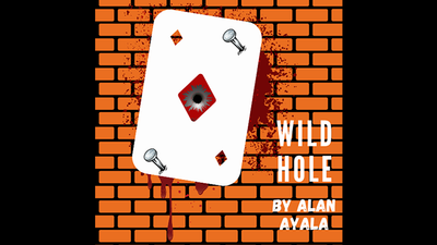Wild Hole by Alan Ayala - Video Download ALAN IVAN AYALA NAVA bei Deinparadies.ch