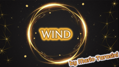 Wind by Mario Tarasini - Video Download Marius Tarasevicius bei Deinparadies.ch