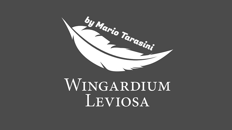 Wingardium Leviosa by Mario Tarasini - Video Download Marius Tarasevicius bei Deinparadies.ch