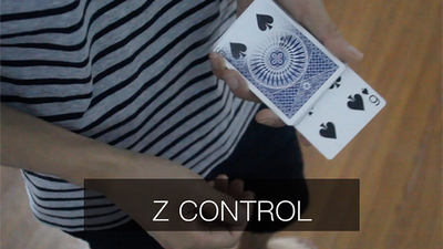 Z - Control by Ziv - Video Download ziv bei Deinparadies.ch