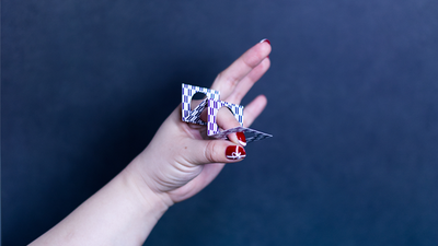 Zig Zag Penetration-PROMA-Deinparadies.ch