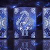 Zodiac (Scorpio) Luminous Edition Playing Cards | TCC-TCC PLAYING CARDS CO. LIMITED-Deinparadies.ch