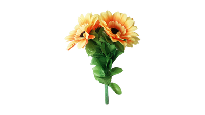 Amazing Split Sunflower | Premium Magic 