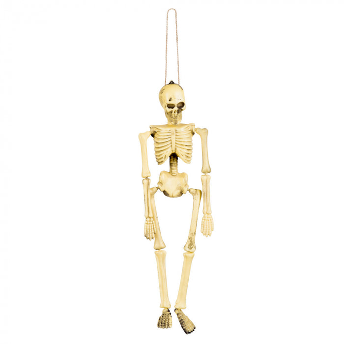 Kleines hängendes Skelett | 40cm Boland bei Deinparadies.ch