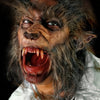Werewolf ears