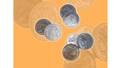 Juego de conchas de monedas Réplicas de dólares