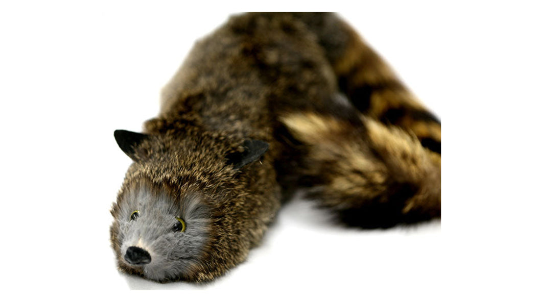 Robbie Raccoon Spring Animal | Deinparadies.ch