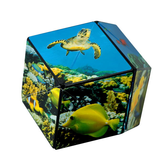 Shashibo Cube Undersea Shashibo at Deinparadies.ch
