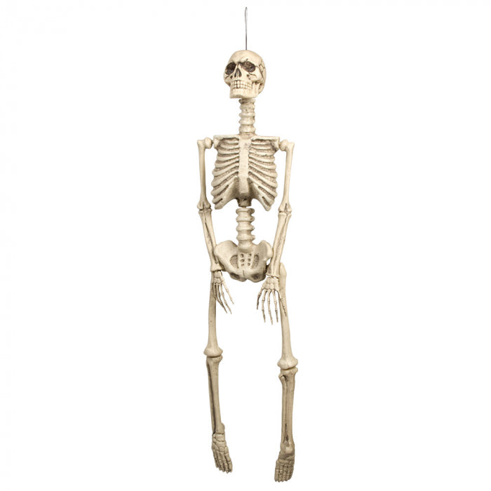 Squelette suspendu | 92 cm Boland à Deinparadies.ch