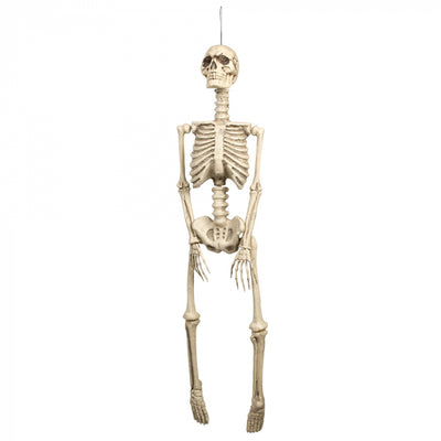 Hängendes Skelett | 92cm Boland bei Deinparadies.ch