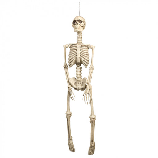 Hängendes Skelett | 92cm Boland bei Deinparadies.ch