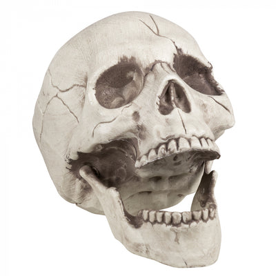 Skull with Movable Jaws | 21cm Boland at Deinparadies.ch