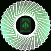 Bicycle MetalLuxe Playing Cards | Emerald Bicycle bei Deinparadies.ch